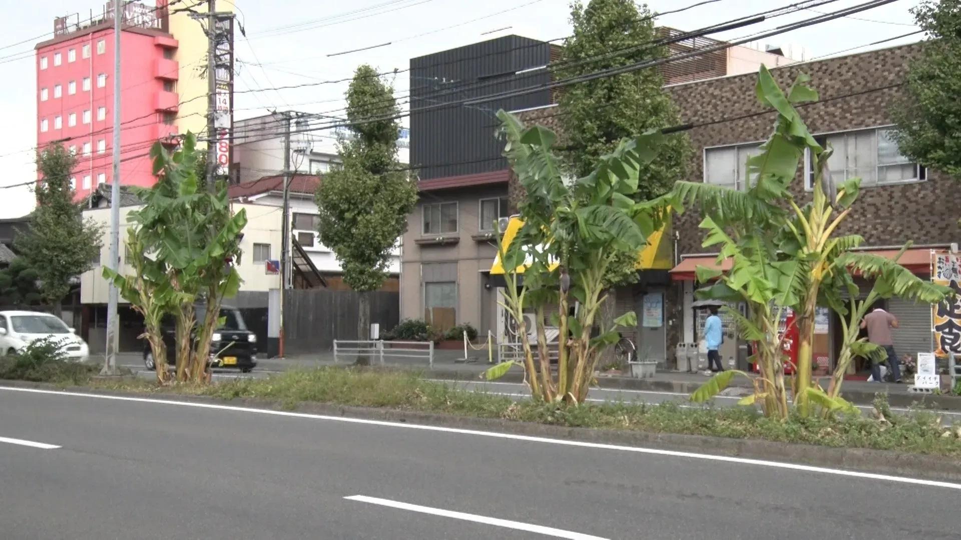 尾形軍団＆西村軍団が「廃材山積みトラック」「ニセ僧侶」「無許可バナナ」の実態を調査！_bodies