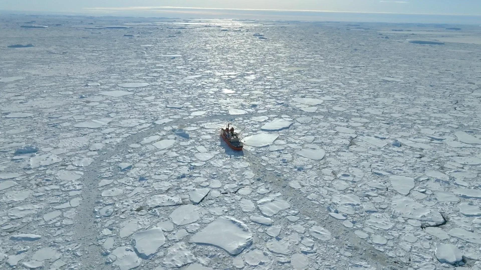 竹野内豊『「地球最後の秘境 南極大陸」観測隊が見た神秘の世界』ナレーションを担当！_bodies