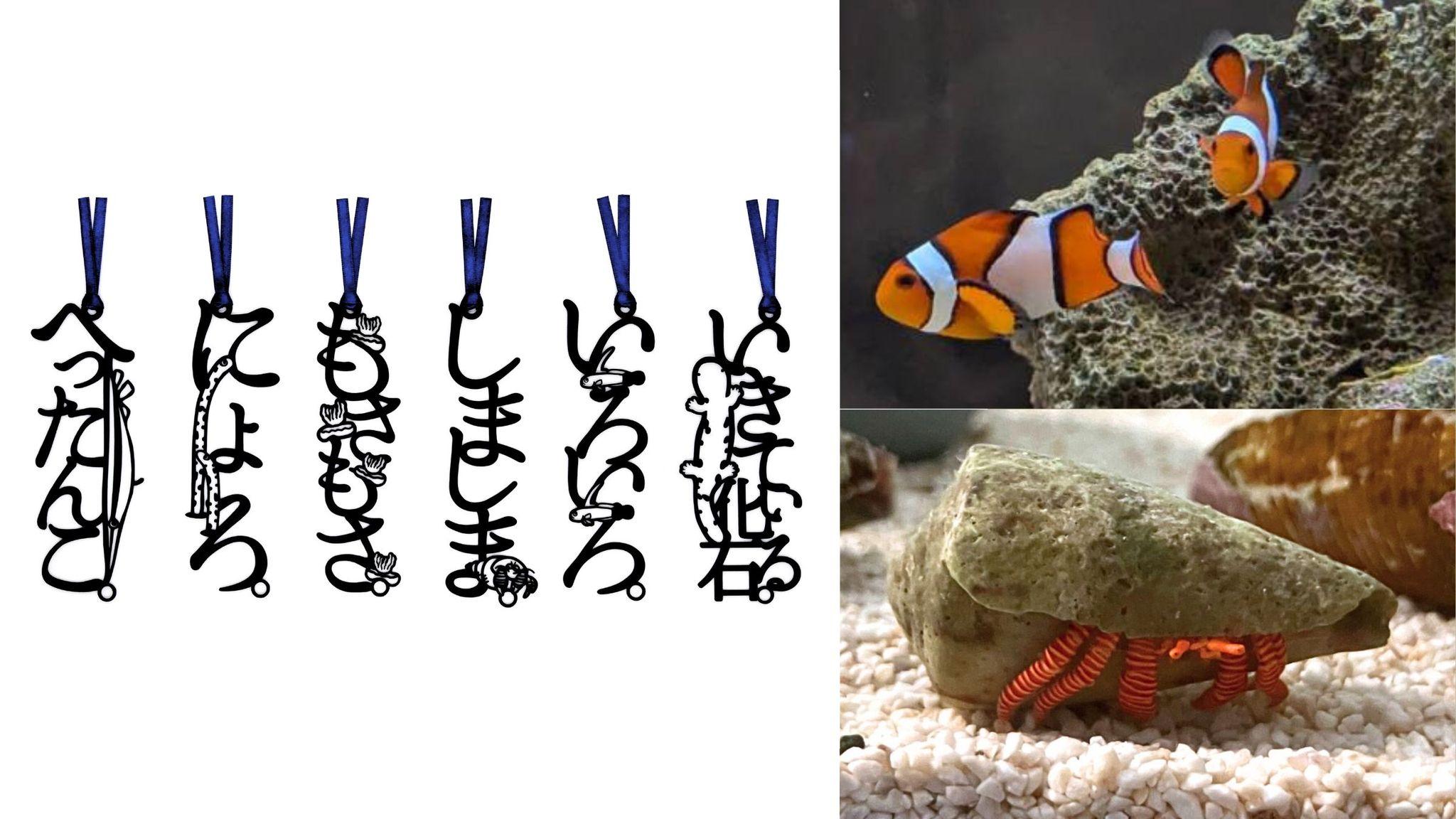 読書の秋に“オノマトペ”で魚を楽しむ「秋の、読む水族館」を開催