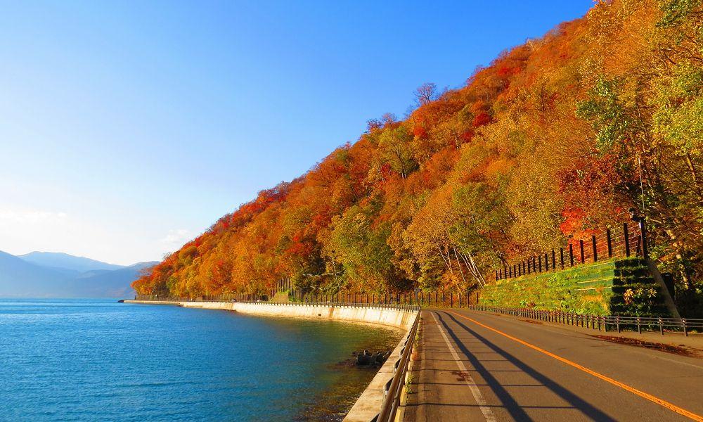 【北海道／苫小牧】紅葉ドライブを楽しんで和～なごみ～の温泉へ！秋の癒され温泉旅プラン