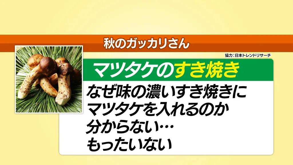 千秋「キノコなんてみんな同じ！」マツタケについての論争に思わぬ結論！？_bodies