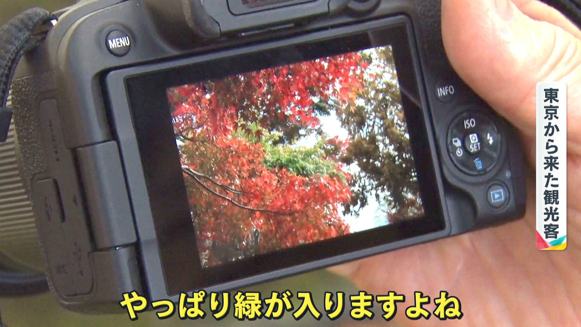 ⑧東京から来た観光客のカメラ