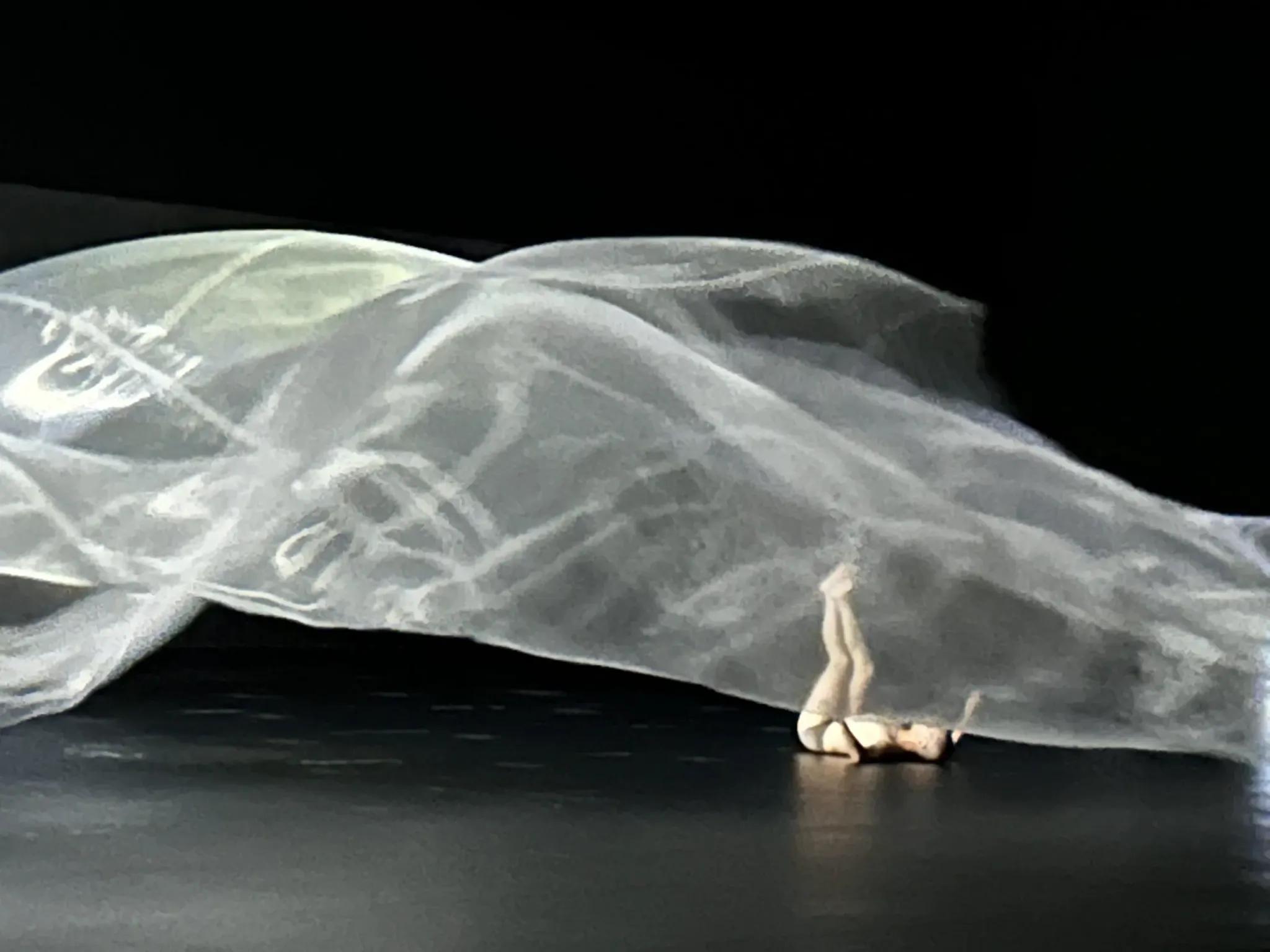 “光の壺に包まれて癒される”世界的アーティストが贈る展覧会に行ってみた_bodies