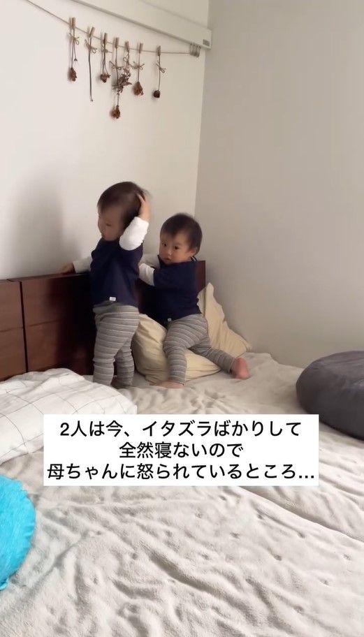 ちはるくんはるたくん話題動画1