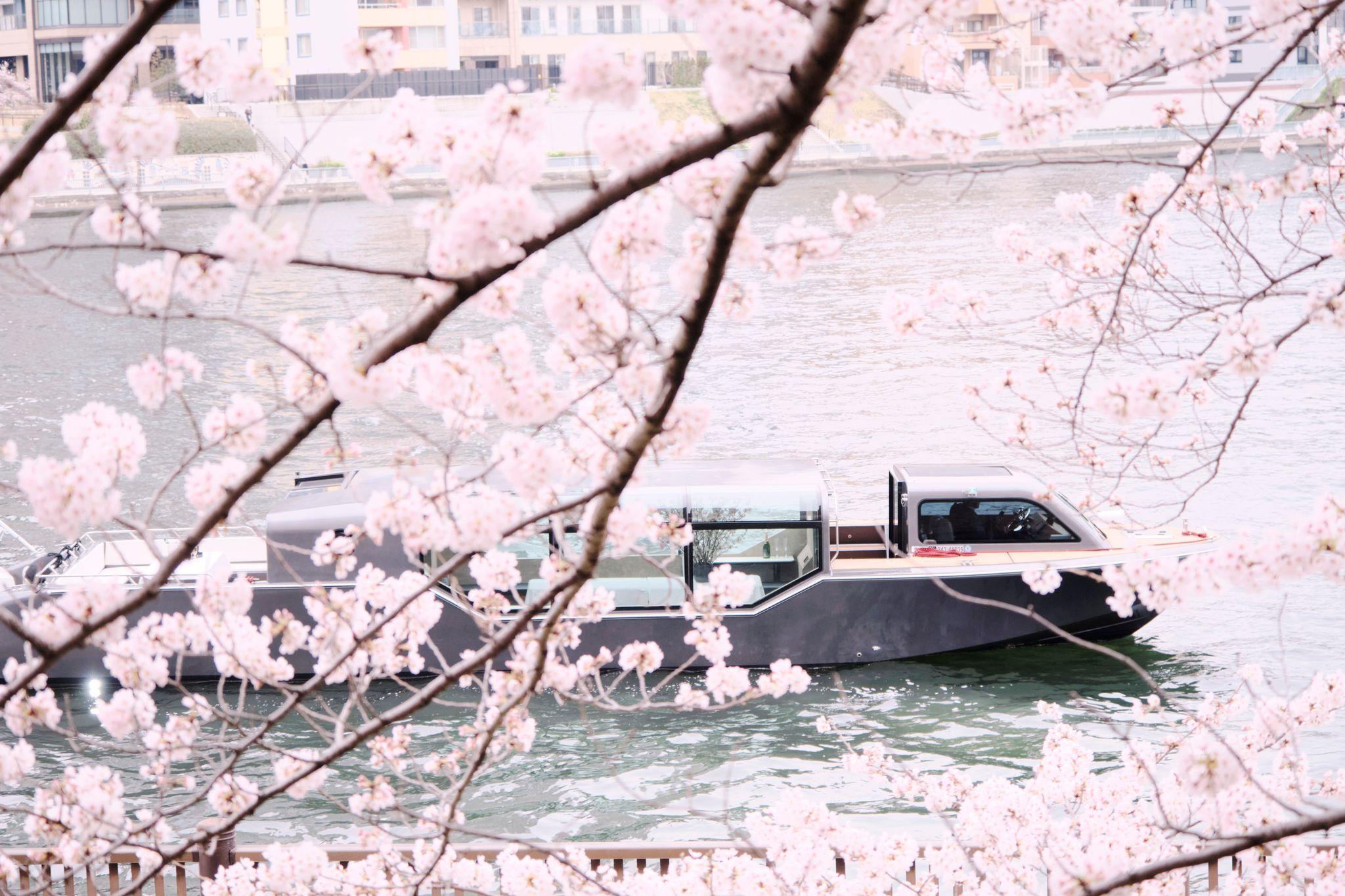 【アマン東京】日本が誇る桜の季節を愉しむ「桜 プライベート リバークルージング」プランのご案内