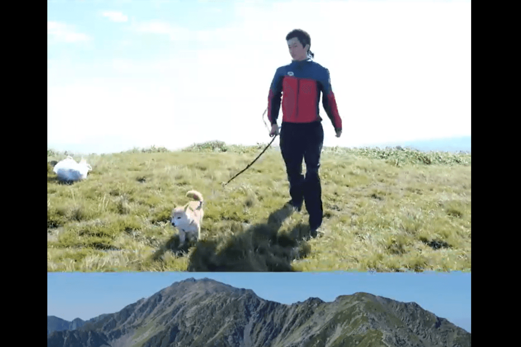 山で豆柴に遭遇！杉野遥亮が振り回される癒し動画公開！“休憩中”の向井康二には「絵になる」の声『マウンテンドクター』