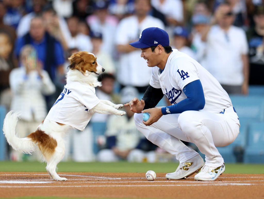 前代未聞！大谷翔平の愛犬デコピンが始球式 ピッチャーデコピンの投球方法は？