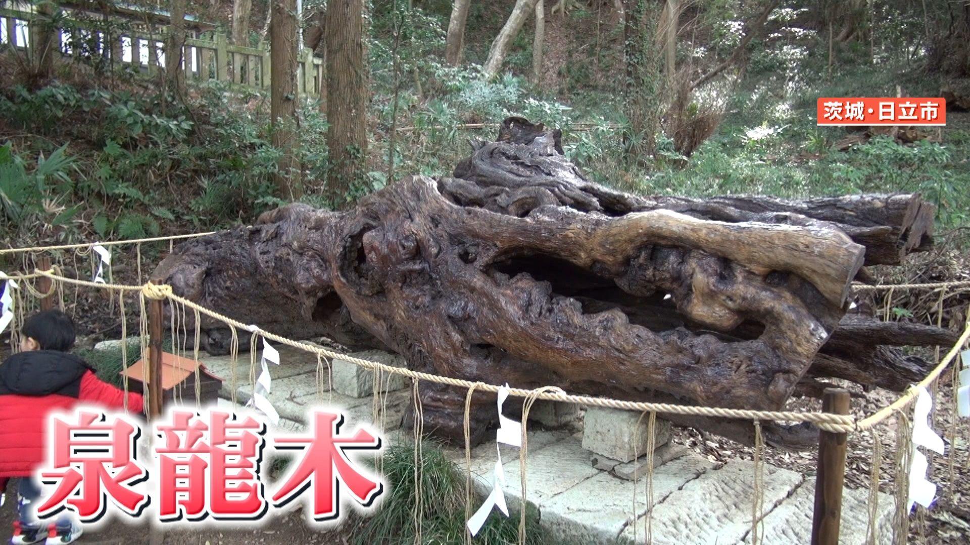 泉神社投げ銭1