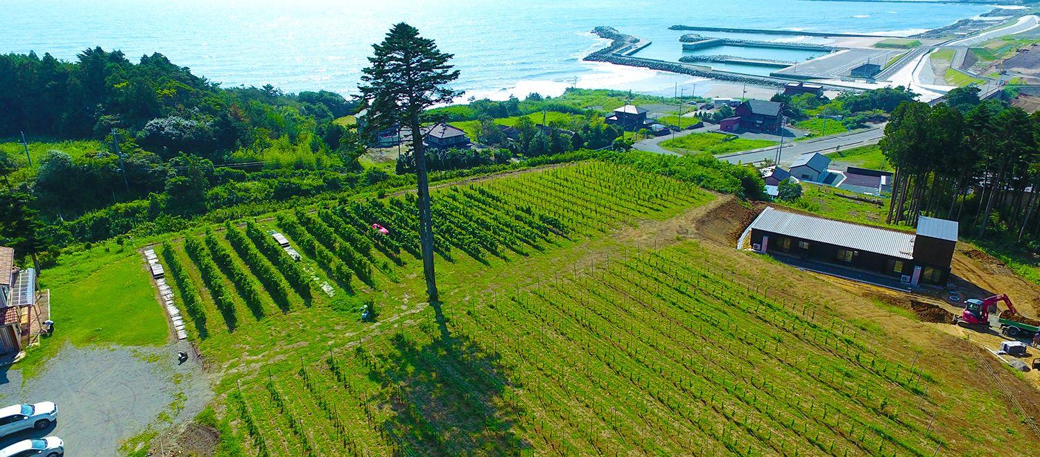 福島県富岡町の復興最前線「とみおかワイナリー」立ち寄りツアー・好評発売中！