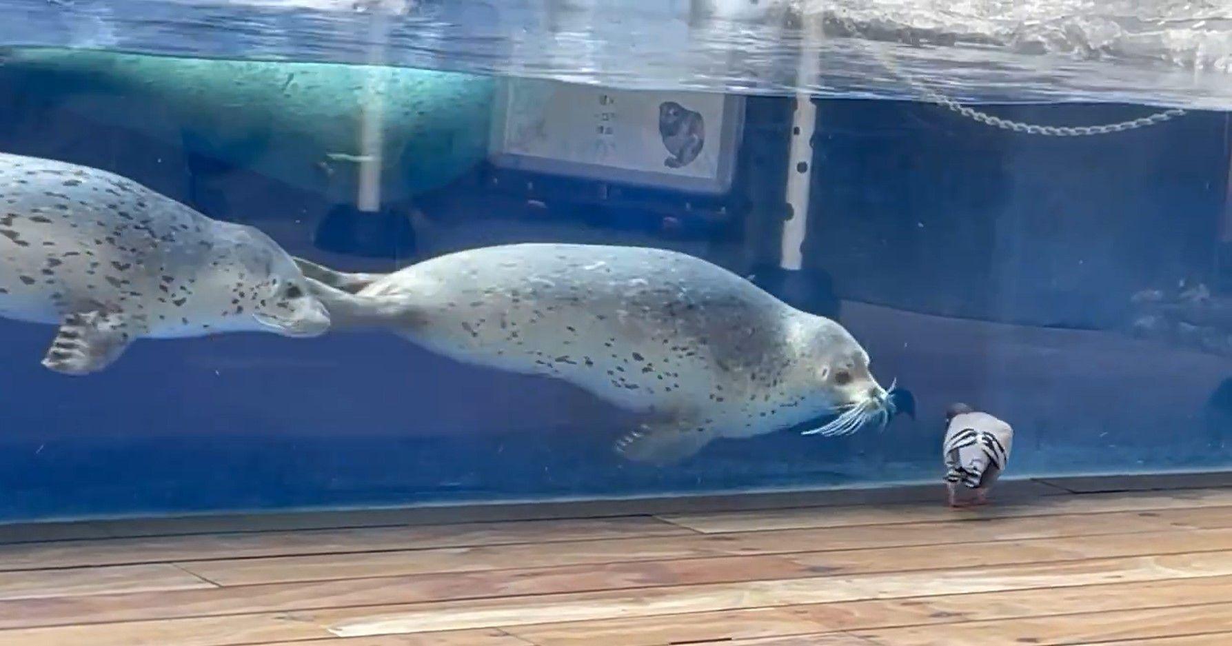 提供：上越市立水族博物館うみがたり