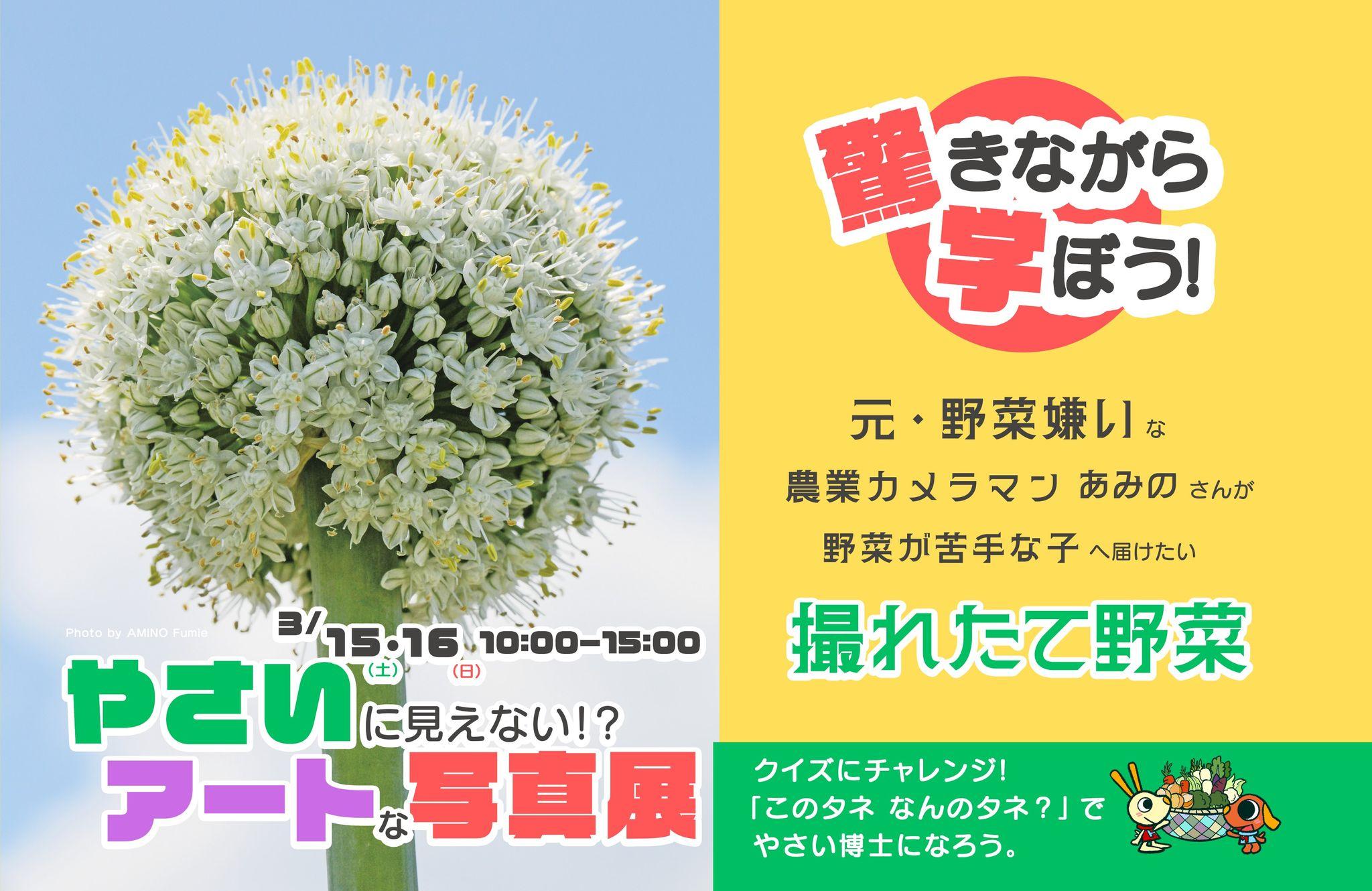 Connectivとハリマ紙器印刷工業が、埼玉県の遊園地「むさしの村」にて開催されるイベントにおいて、NFTを活用したクイズラリーを開催