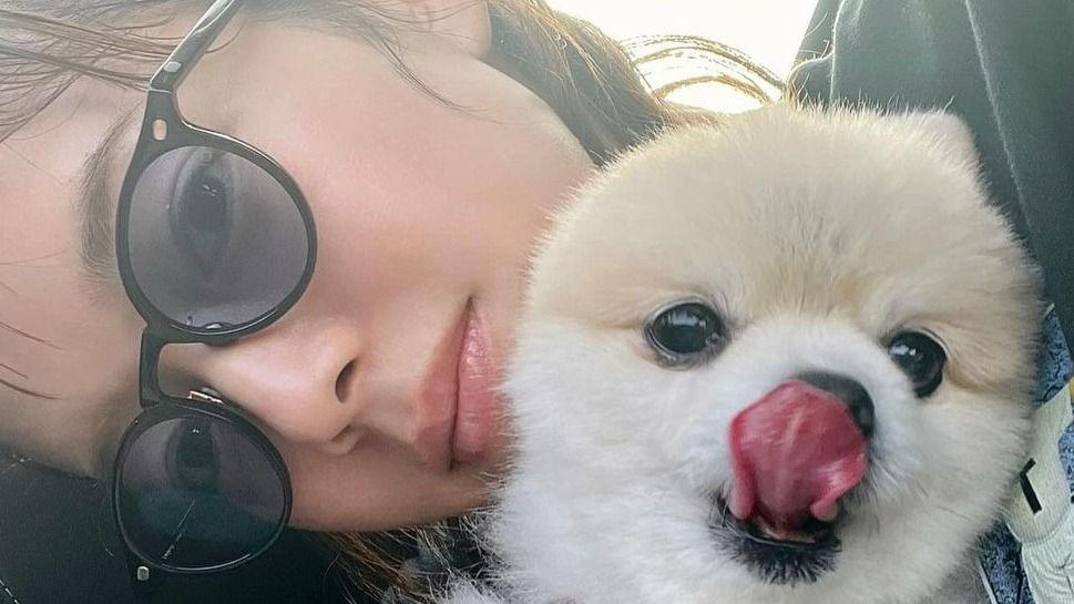 「そんなのあるの！」佐藤栞里 かわいすぎる"そっくりな愛犬"とのツーショット公開もまさかの着用"T"シャツに大反響！