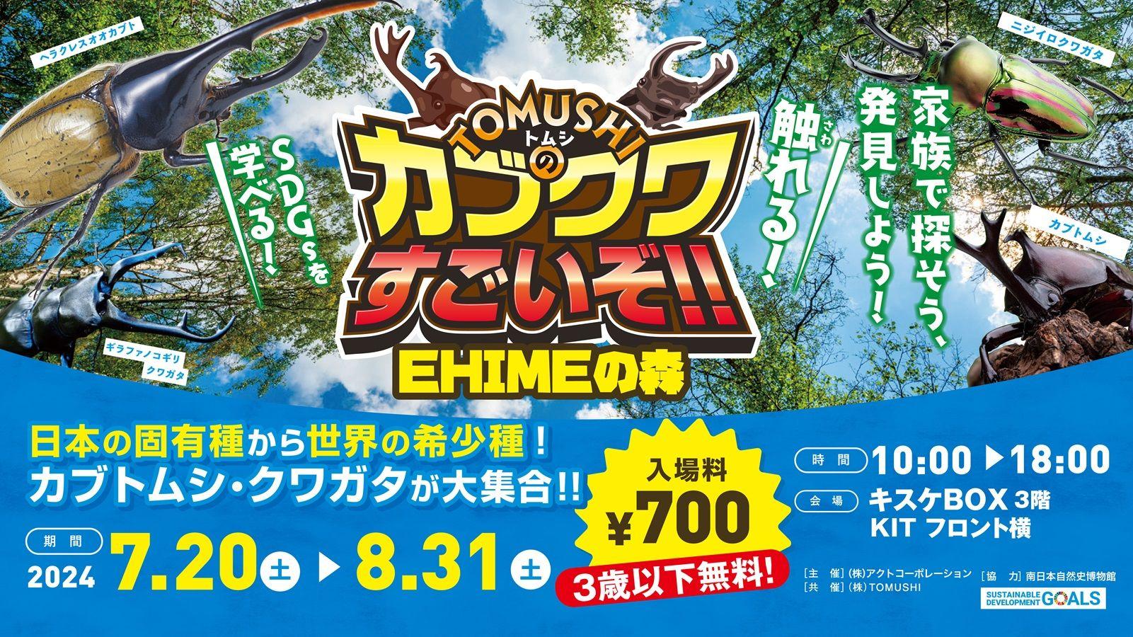 【愛媛県 松山市】この夏、世界のカブクワがキスケBOXにやってくる！！「TOMUSHIのカブクワすごいぞ　EHIMEの森」開催決定！