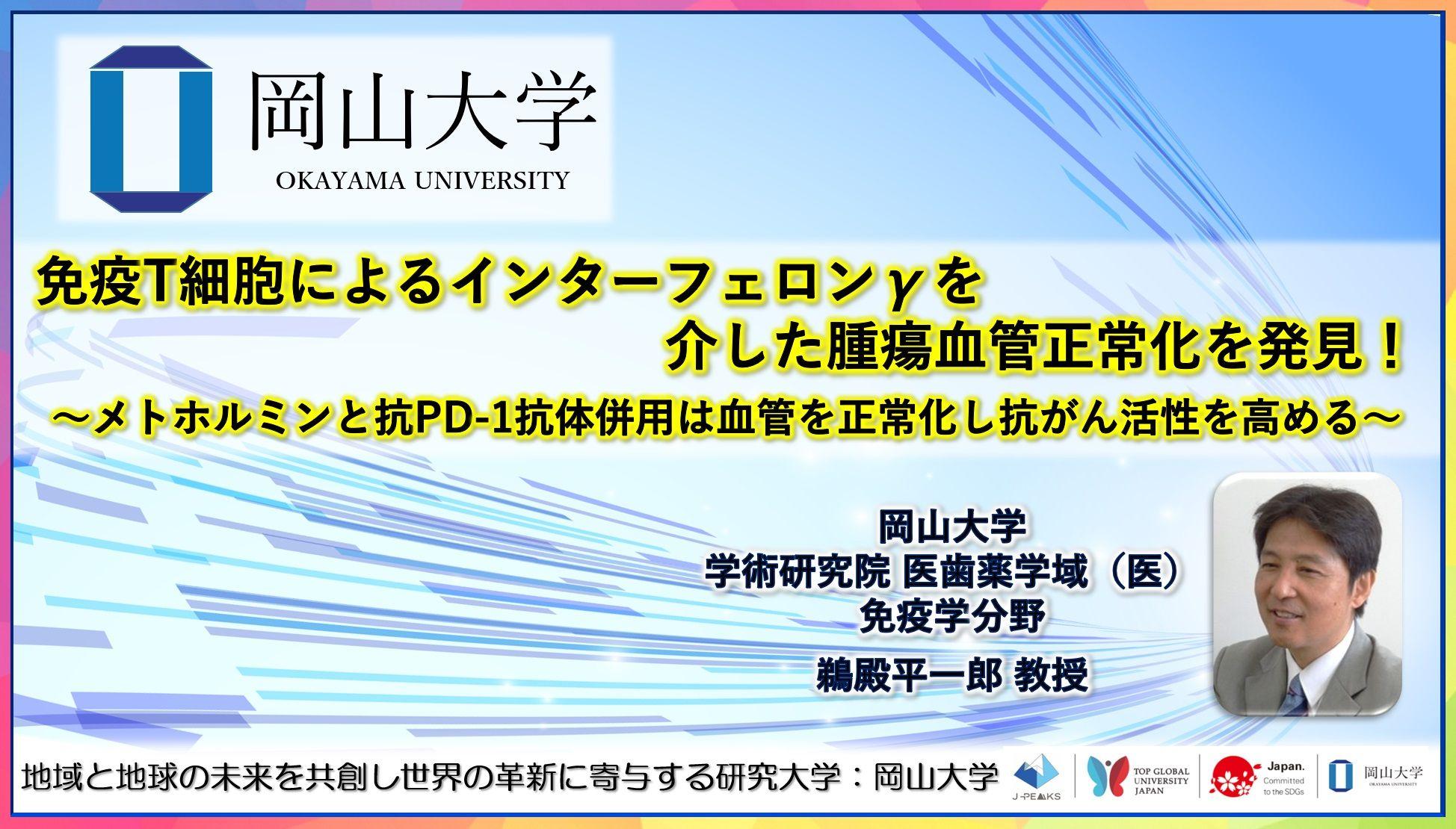 【岡山大学】免疫T細胞によるインターフェロンγを介した腫瘍血管正常化を発見！～メトホルミンと抗PD-1抗体併用は血管を正常化し抗がん活性を高める～