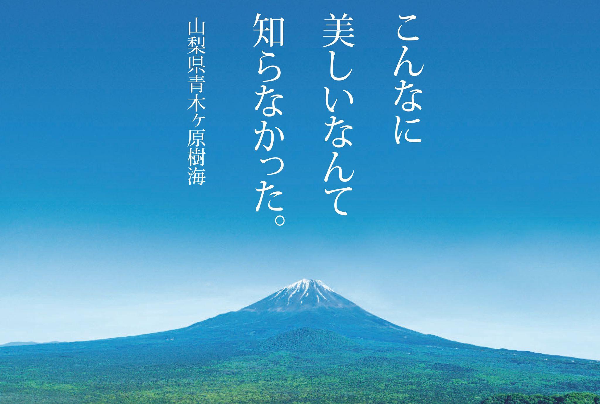 こんなに美しいなんて知らなかった。いのちを育む青木ヶ原樹海の自然に触れる「健やか樹海ウォーキング」を開催します！