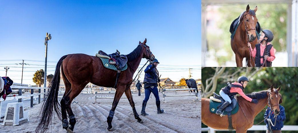 【ヒルトン成田】競走馬育成の地、成田で遊んで学ぶ　　　　　　　　　　　　　　　　　　　　　　　　　　　　　　〈１日2組限定〉「乗馬体験プラン～ウマ活～」販売スタート！