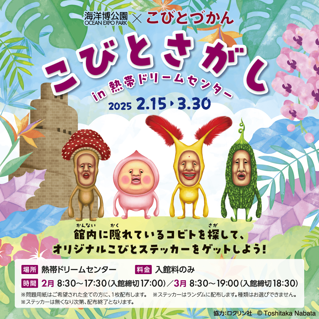 【海洋博公園】2025年2月15日（土）から「こびとさがし in 熱帯ドリームセンター」開催！