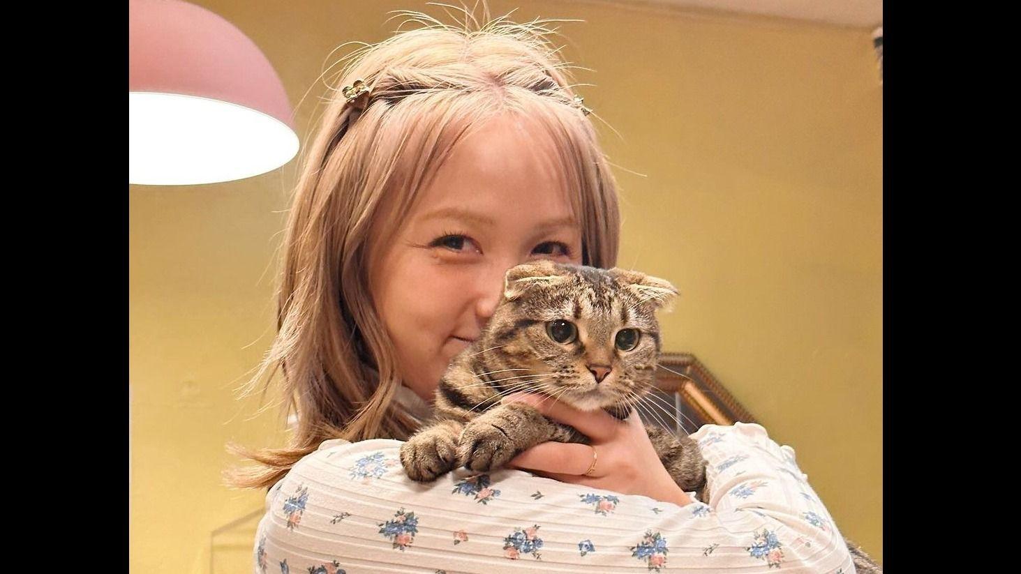 Dream Ami愛猫の誕生日を祝い写真を投稿　夫や息子とのショットも「みんな仲良く家族の歴史を刻んでいこうね」