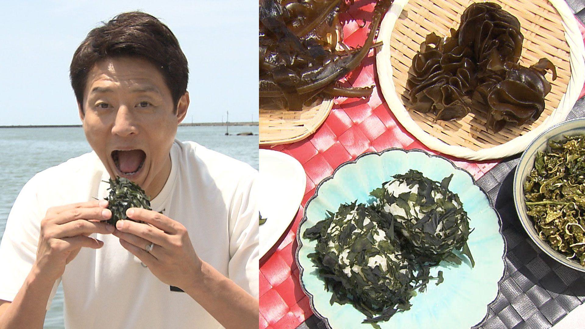 今が旬のわかめを“贅沢食べ”！松岡修造が海女さん手作業のわかめに感激