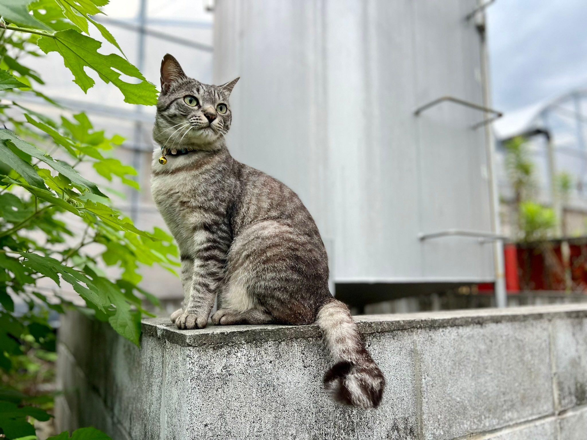 お腹押すと電源OFF