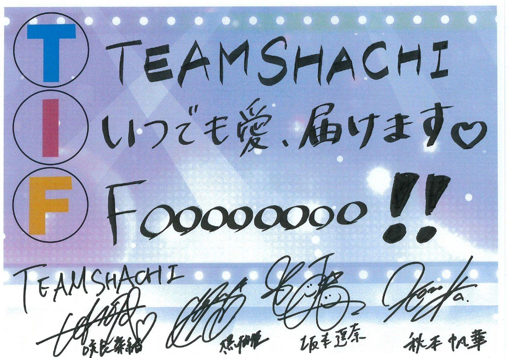 TIF TEAM SHACHI