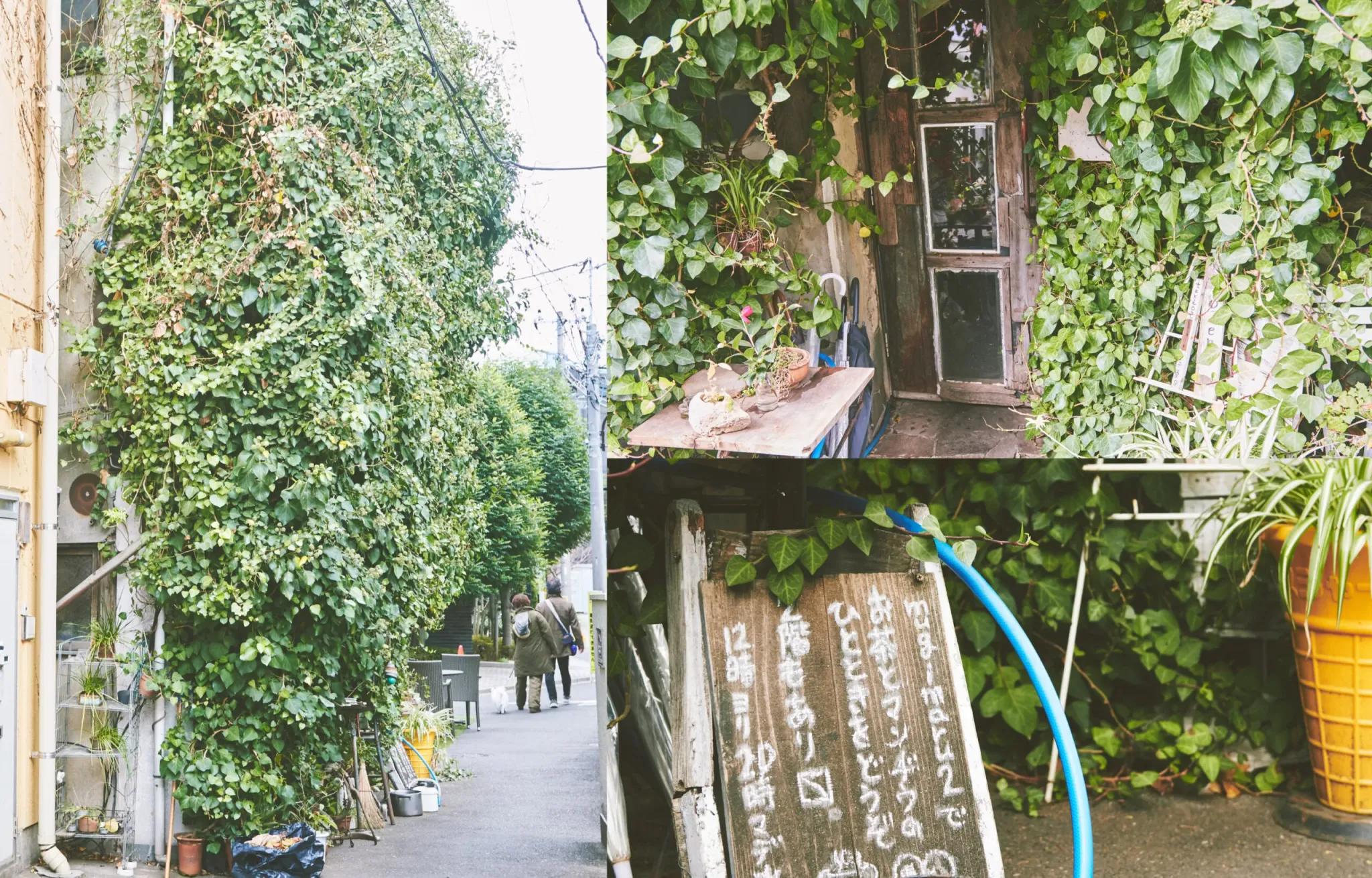 【私の、東京物語。】奈緒「自分のままで心地よくいられた」神楽坂での名画座との出会い_bodies