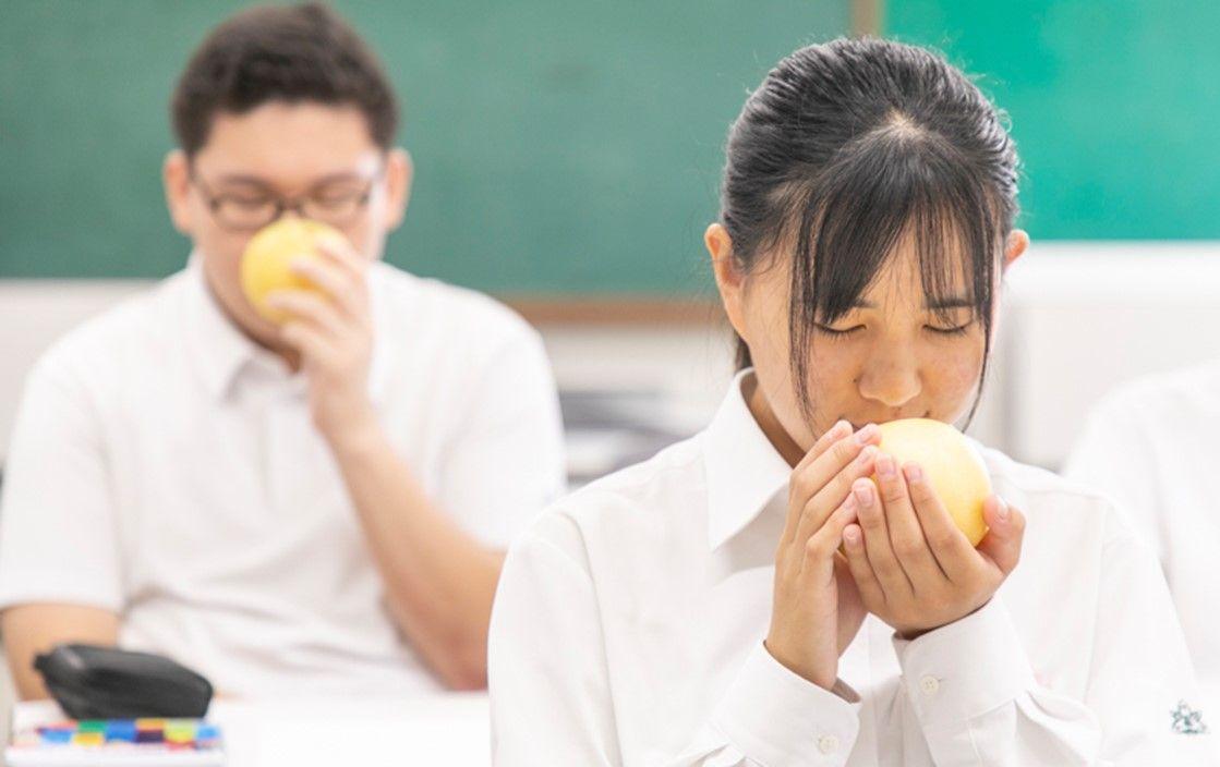 東大共同研究の知見を活かしたセントマティック「香りの授業」　鳥取県立智頭農林高校にて初開催