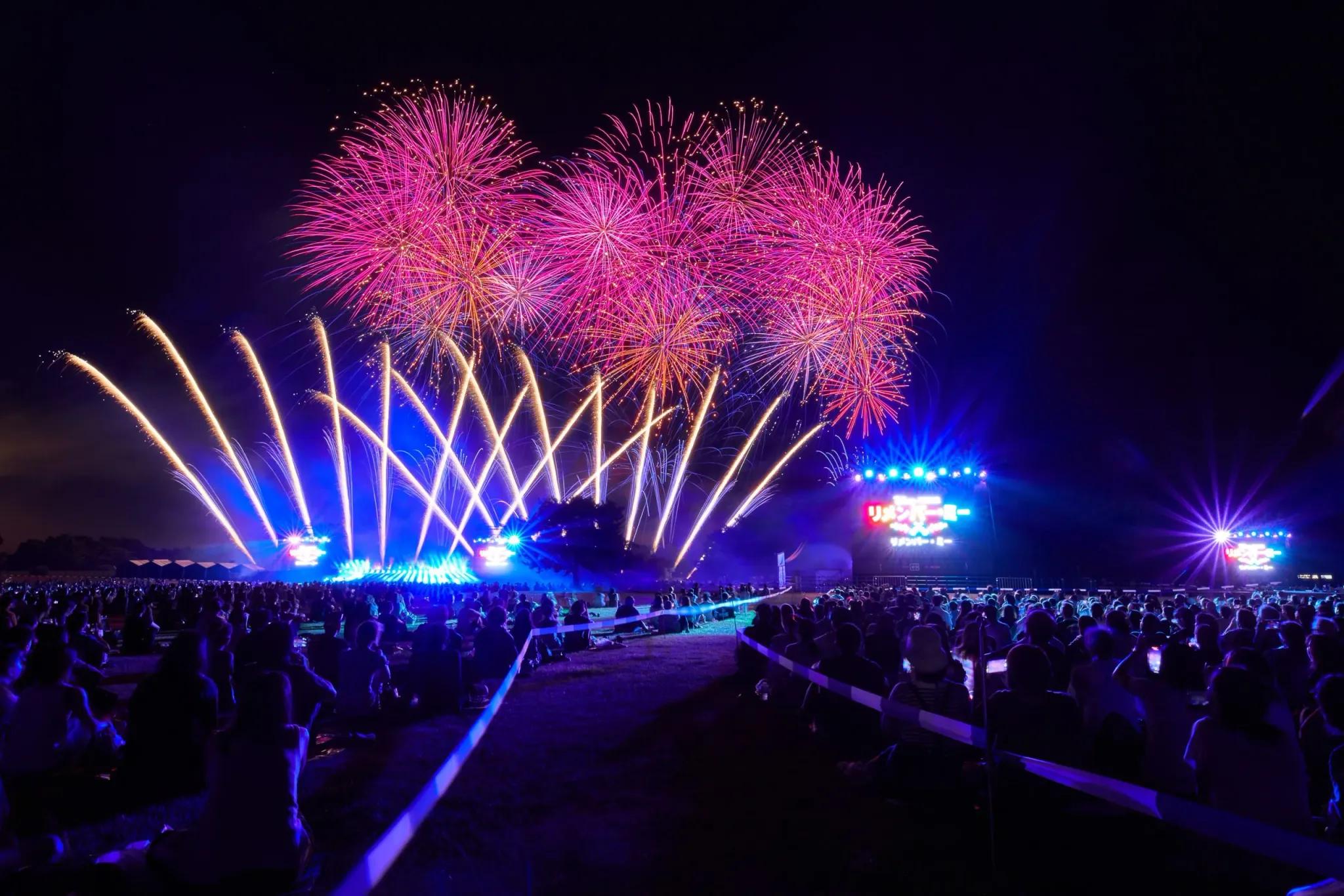 創立100周年のディズニーが贈る！音楽と花火の祭典「Disney Music＆Fireworks」茨城公演レポ_bodies
