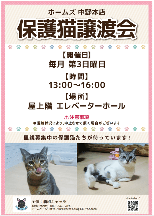 【島忠】ホームズ中野本店　2月16日（日）より保護猫譲渡会を定期開催します