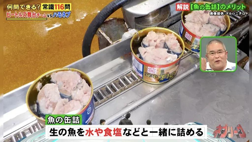 魚の缶詰の長期保存以外のメリットは？『ネプリーグ』で放送の＜豆知識＞_bodies