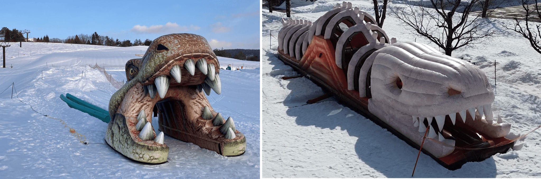 春も雪たっぷりのスキージャム勝山で雪遊び！ビキッズパークに恐竜スライダー登場