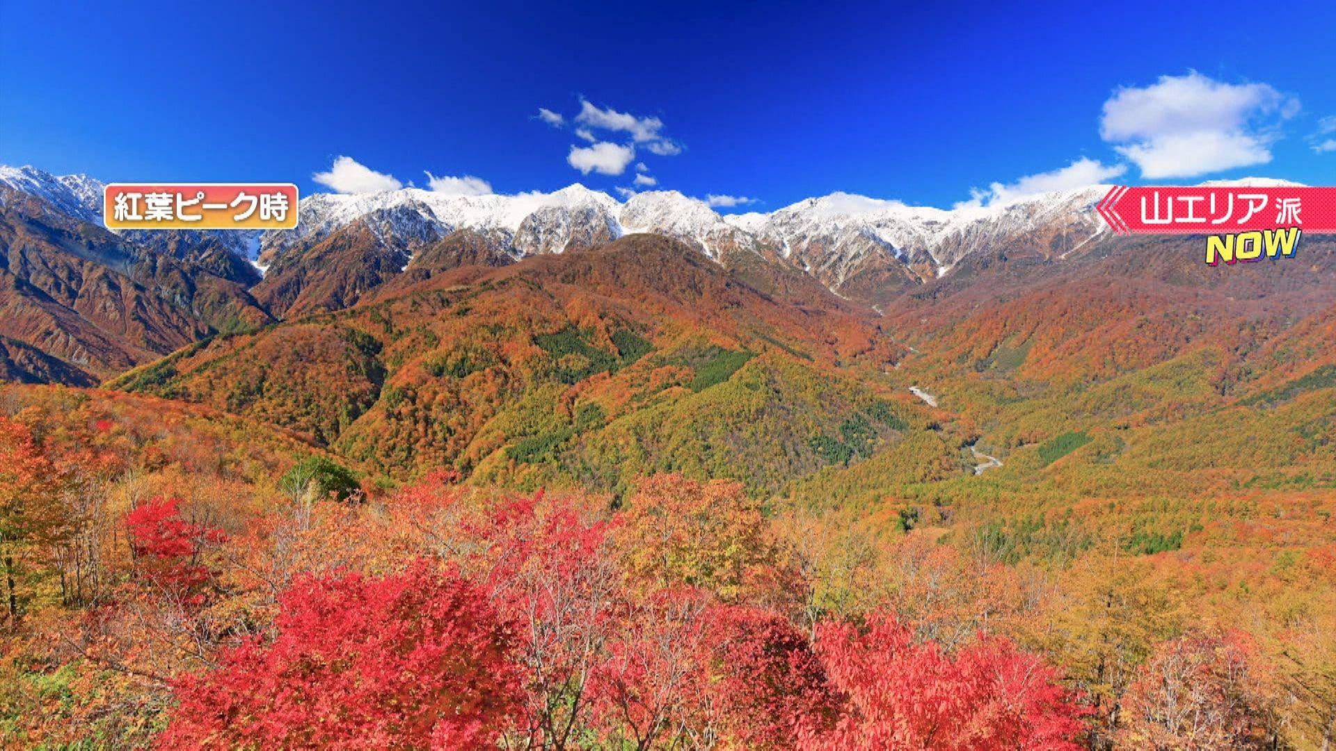 どっち派　長野の紅葉⑭