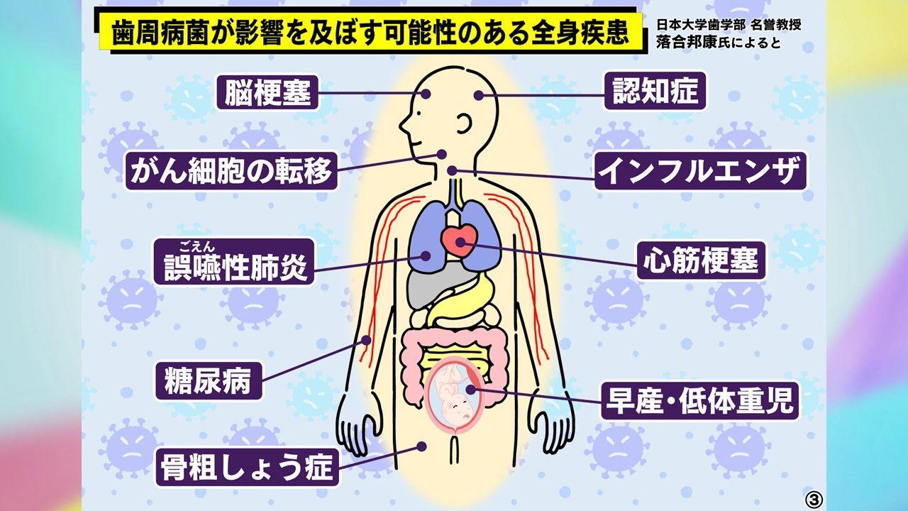 め8口内フローラ (10)