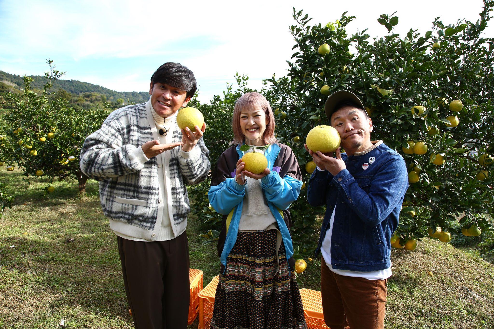 “ほぼ同期”ますだおかだ＆松嶋尚美が高知で“第2の人生”の住処（すみか）を探す旅へ『ますだおかだのどこ住む？トラベル！』