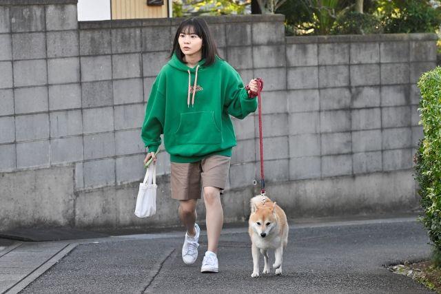 『今日のさんぽんた』地上波放送！