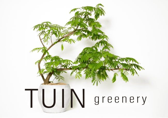 TUIN greenery が The SHEL'TTER TOKYO 東急プラザ表参道「オモカド」店にオープン