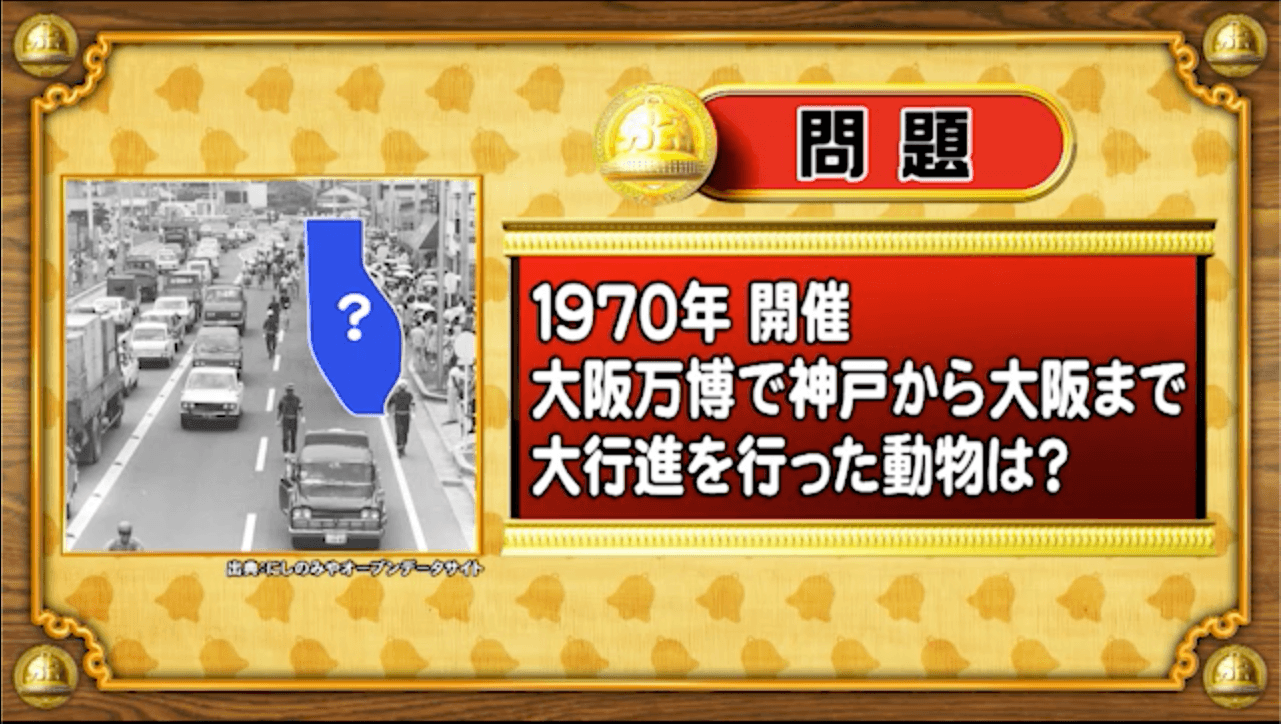 【おめざめ脳トレ】1970年の大阪万博で神戸→大阪を大行進した動物は？【『クイズ！脳ベルSHOW』より】